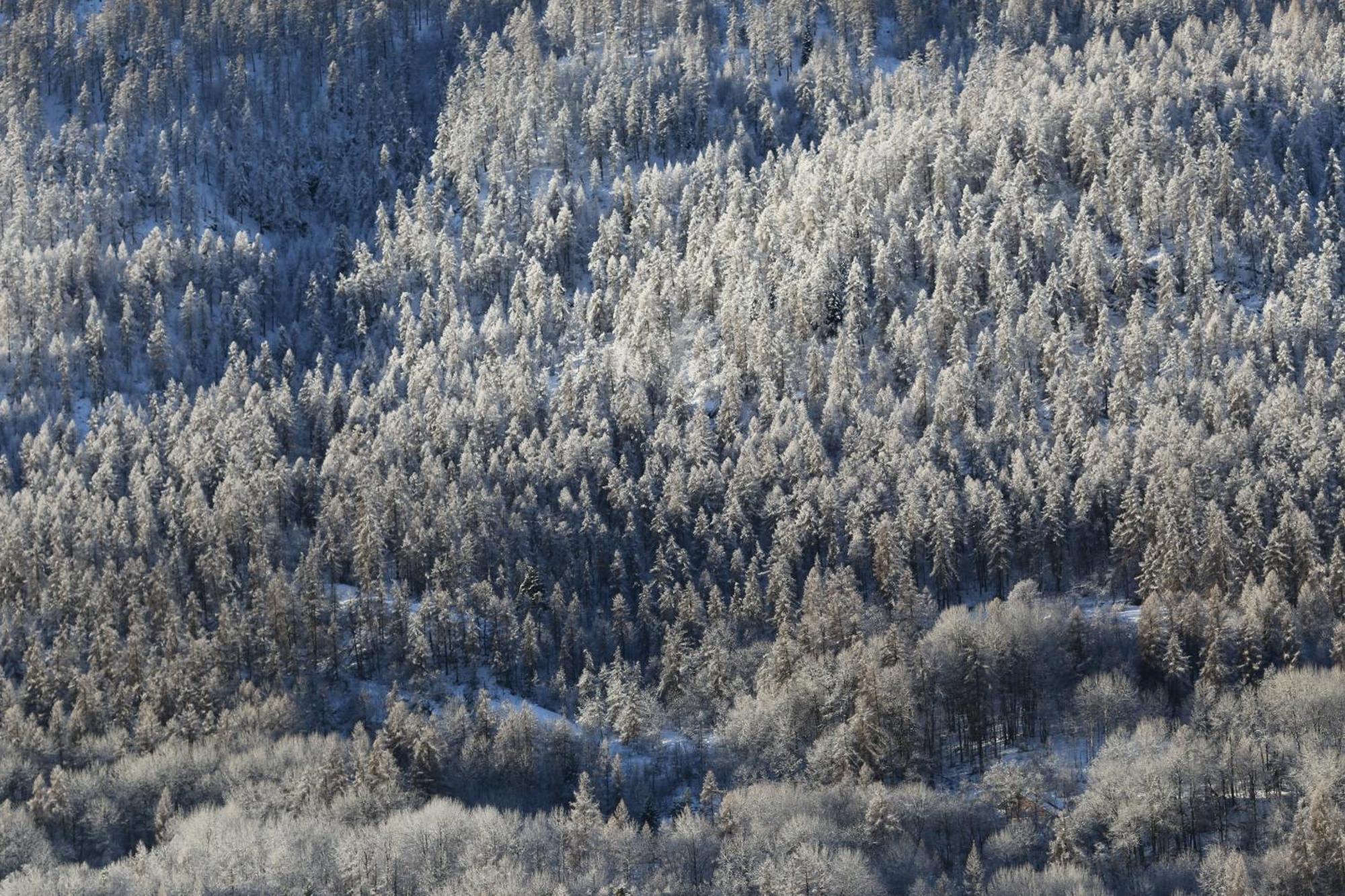 Maison De Montagne Serre Chevalier Saint-Chaffrey Eksteriør billede